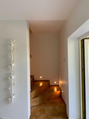 Apartamentai: Paj?rio Kopa