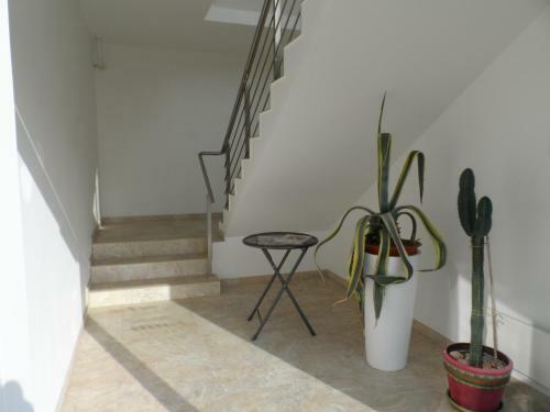 Balte Central Apartments