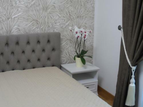 Balte Central Apartments
