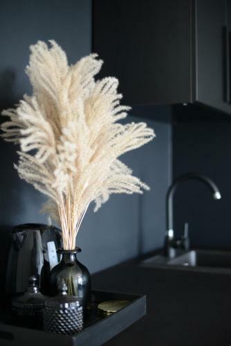 Apartamento Palanga-apartamentai