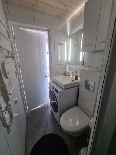 ?iki Puki Apartamentai Pien?s P?kas