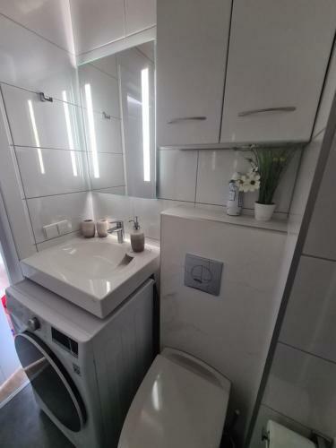?iki Puki Apartamentai Pien?s P?kas