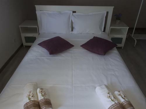 Hotel Top Style Villa