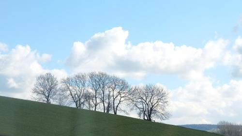 Longlands Inn & Cottages