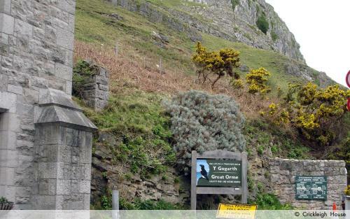 Bed & Breakfast Crickleigh House