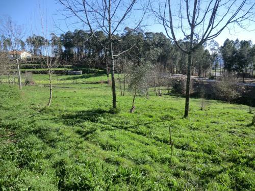 Bed & Breakfast Vianashome