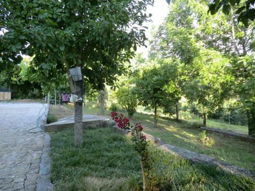 Bed & Breakfast Vianashome