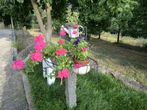 Bed & Breakfast Vianashome