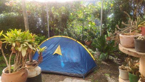 Hostal Payaca