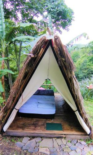 Hostal Payaca