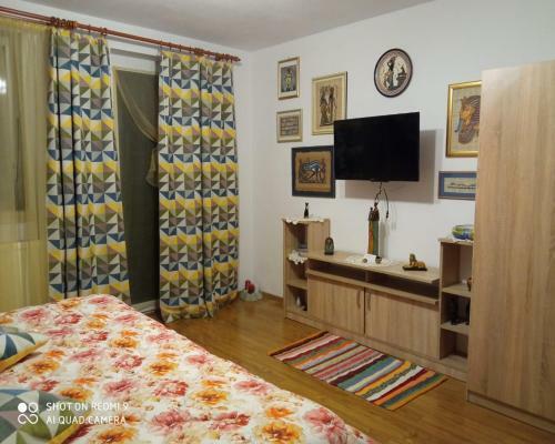 Hostal Agropensiunea Florina-maria