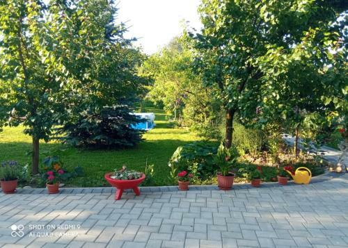 Hostal Agropensiunea Florina-maria