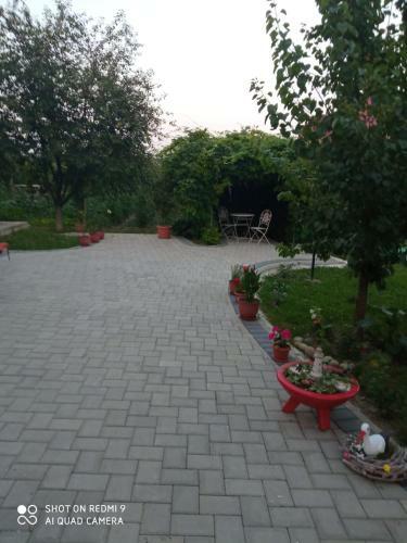 Hostal Agropensiunea Florina-maria