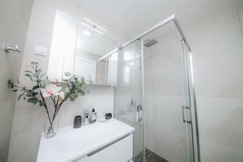 Apartman Mvp Centar
