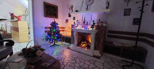 Hostal Lis House