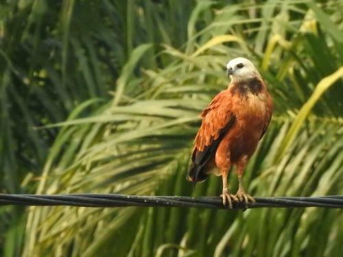 Villa Rionilo Ecolodge - Tours