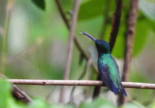 Villa Rionilo Ecolodge - Tours