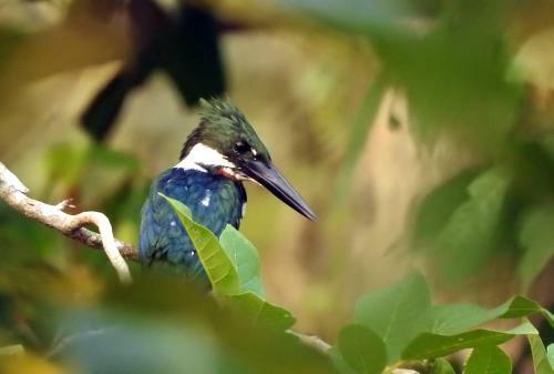 Villa Rionilo Ecolodge - Tours
