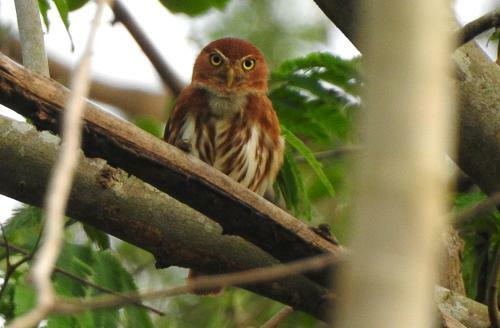 Villa Rionilo Ecolodge - Tours