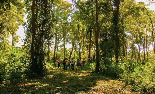 Villa Rionilo Ecolodge - Tours