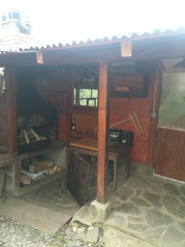 Casa Bradul Verde