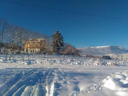 Villa Vila Rem