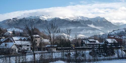 Hotel Bran Chalet