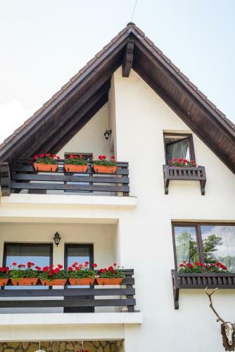 Hotel Bran Chalet