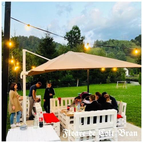 Hostal Floare De Col?-bran