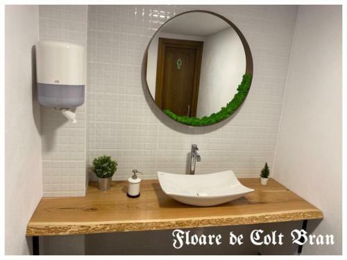 Hostal Floare De Col?-bran