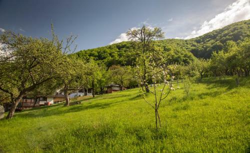Trout Cottage