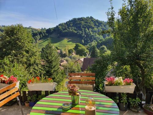Agroturismo Bran And Breakfast