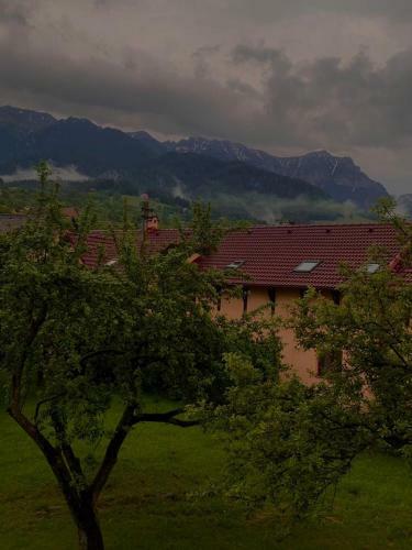 Hostal Pensiunea Valy ?i Gicu