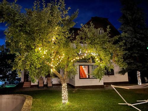 Villa River House