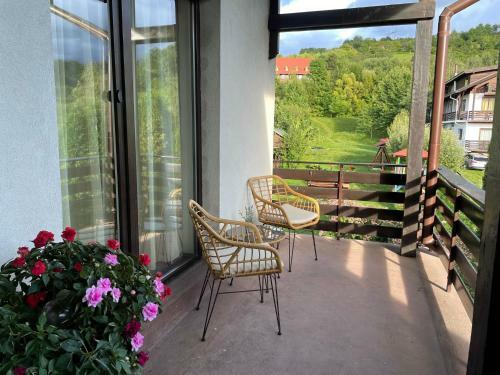 Hostal Pensiunea Mis
