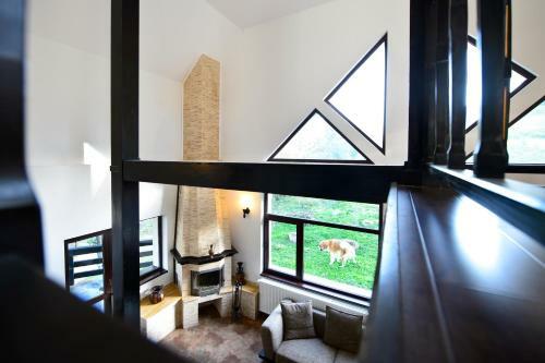 Hostal Contele Vladimir