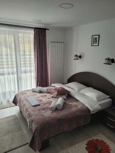 Hostal Casa de Vacanta Aryana