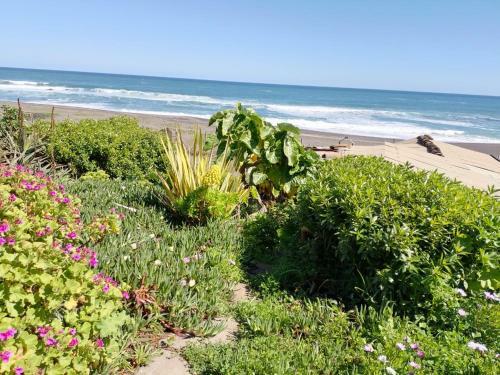 Caba�a En Sector Alto de Tauc�, Cobquecura