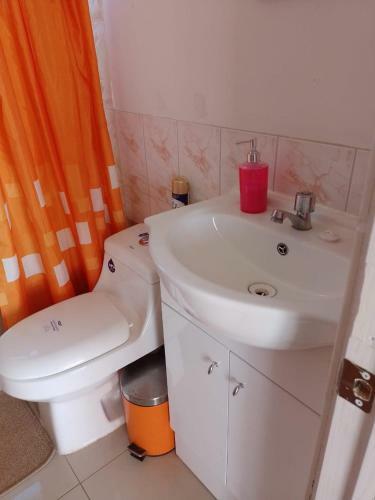 Caba�a En Sector Alto de Tauc�, Cobquecura