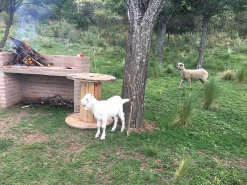 Hen�n- Casa De Campo- Traslasierra