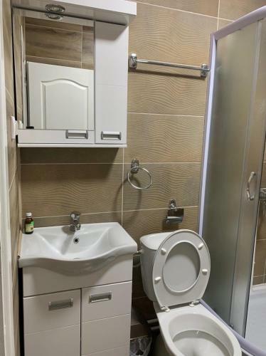 Zara Apartman Krusevac - Centar