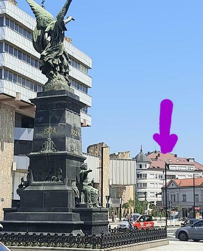 Zara Apartman Krusevac - Centar