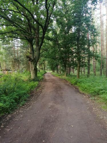 Domek Quatro Brzezinki