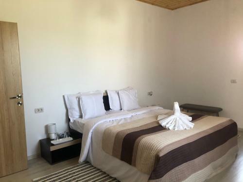 Hostal Pensiune Agroturistica Costiana
