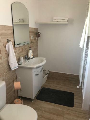 Hostal Pensiune Agroturistica Costiana