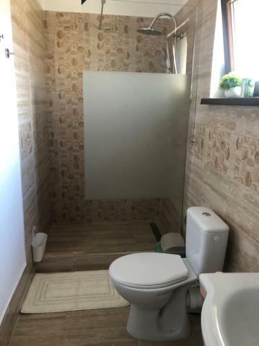 Hostal Pensiune Agroturistica Costiana