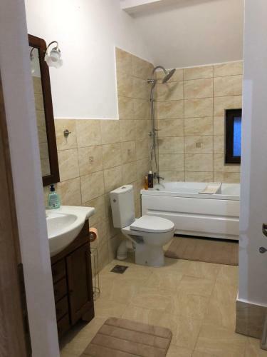 Hostal Pensiune Agroturistica Costiana