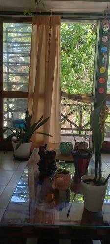 Apartamento Departamento Parque