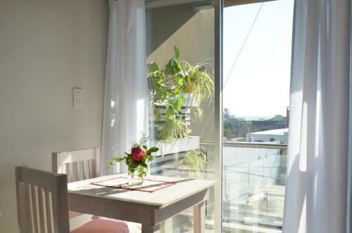 Apartamento Monoambiente La Pitota