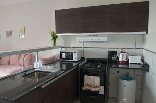 Apartamento Monoambiente La Pitota